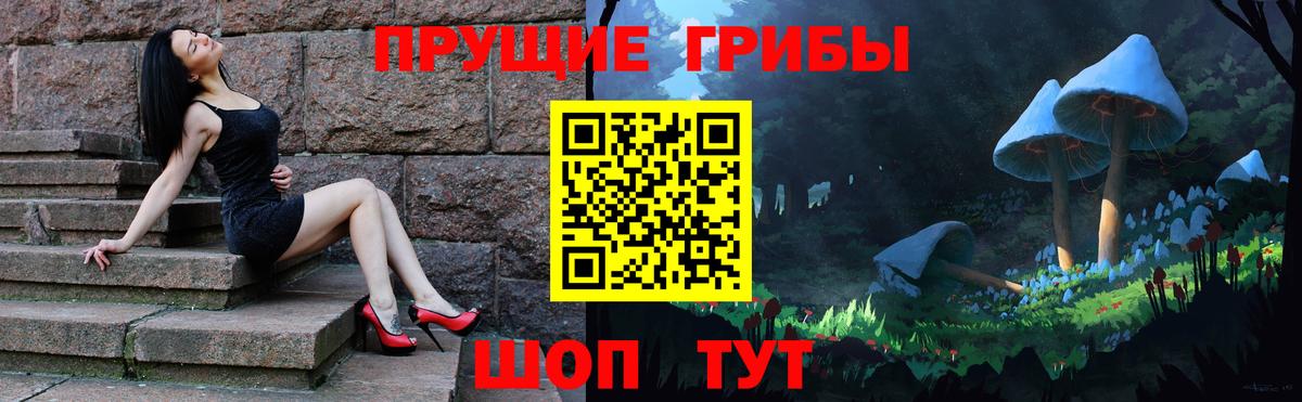 Муром  цена   Вход с VPN  Псилоцибиновые грибы MAGIC MUSHROOMS 